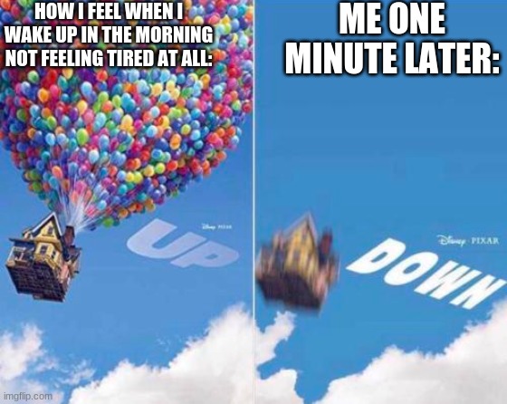 me in the morning | HOW I FEEL WHEN I WAKE UP IN THE MORNING NOT FEELING TIRED AT ALL:; ME ONE MINUTE LATER: | image tagged in up and down | made w/ Imgflip meme maker