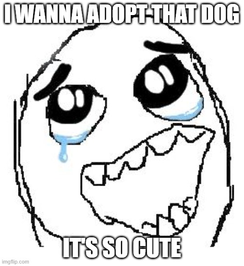 Happy Guy Rage Face Meme | I WANNA ADOPT THAT DOG IT'S SO CUTE | image tagged in memes,happy guy rage face | made w/ Imgflip meme maker