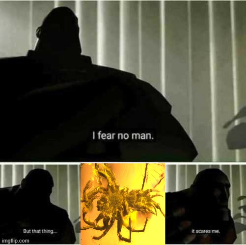 I fear no man | image tagged in i fear no man,i'm 15 so don't try it,who reads these | made w/ Imgflip meme maker