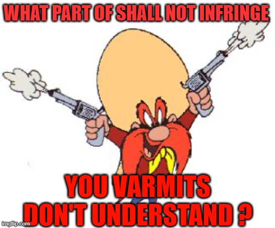 infringe varmits | WHAT PART OF SHALL NOT INFRINGE; YOU VARMITS DON'T UNDERSTAND ? | image tagged in funny memes | made w/ Imgflip meme maker