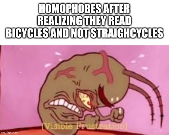 Visible Frustration | HOMOPHOBES AFTER REALIZING THEY READ BICYCLES AND NOT STRAIGHCYCLES | image tagged in visible frustration | made w/ Imgflip meme maker