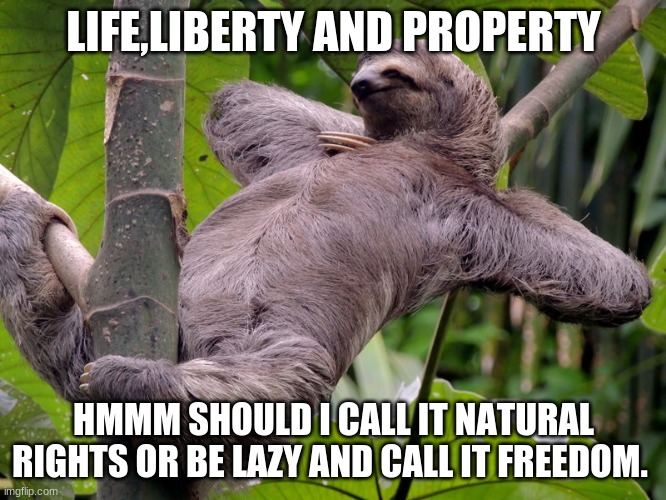 john locke | LIFE,LIBERTY AND PROPERTY; HMMM SHOULD I CALL IT NATURAL RIGHTS OR BE LAZY AND CALL IT FREEDOM. | image tagged in lazy sloth | made w/ Imgflip meme maker