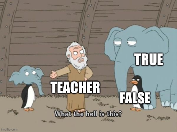 What the hell is this? | TEACHER TRUE FALSE | image tagged in what the hell is this | made w/ Imgflip meme maker