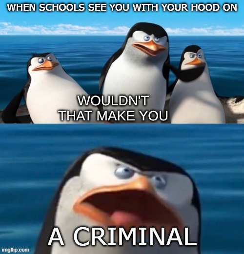 Wouldn't that make you blank |  WHEN SCHOOLS SEE YOU WITH YOUR HOOD ON; A CRIMINAL | image tagged in wouldn't that make you blank | made w/ Imgflip meme maker