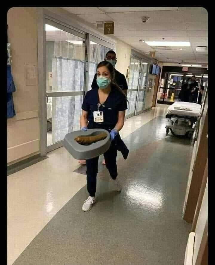 High Quality Nurse carrying poop Blank Meme Template