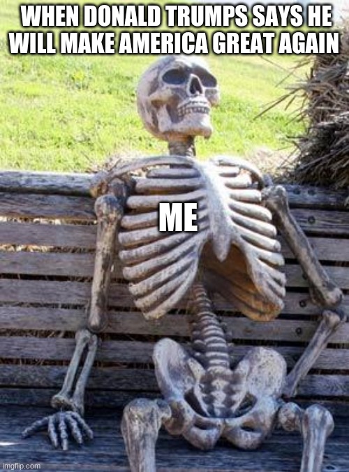 Waiting Skeleton Meme | WHEN DONALD TRUMPS SAYS HE WILL MAKE AMERICA GREAT AGAIN; ME | image tagged in memes,waiting skeleton | made w/ Imgflip meme maker