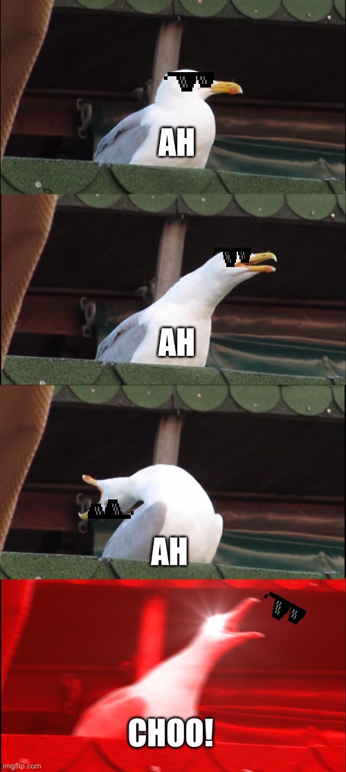 My nuggies! | AH; AH; AH; CHOO! | image tagged in memes,inhaling seagull | made w/ Imgflip meme maker