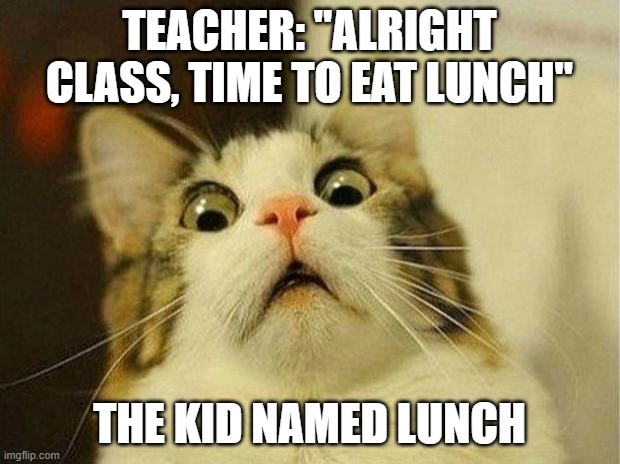 Scared Cat Meme | TEACHER: "ALRIGHT CLASS, TIME TO EAT LUNCH"; THE KID NAMED LUNCH | image tagged in memes,scared cat | made w/ Imgflip meme maker