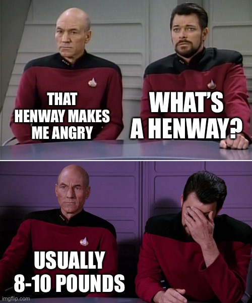 Picard Riker listening to a pun | WHAT’S A HENWAY? THAT HENWAY MAKES ME ANGRY; USUALLY 8-10 POUNDS | image tagged in picard riker listening to a pun | made w/ Imgflip meme maker