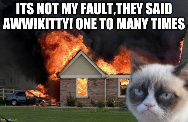 Burn Kitty Meme | ITS NOT MY FAULT,THEY SAID AWW!KITTY! ONE TO MANY TIMES | image tagged in memes,burn kitty,grumpy cat | made w/ Imgflip meme maker