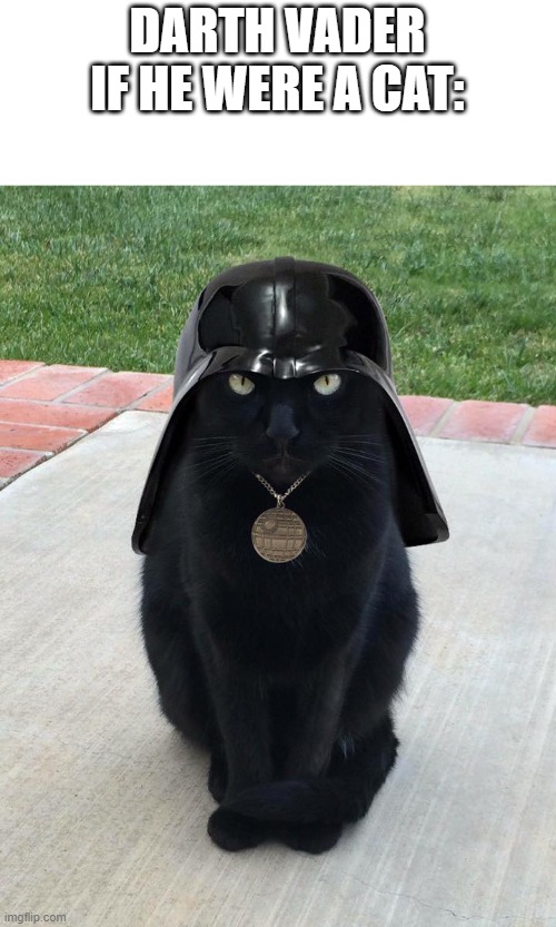 welcome to the dark side | DARTH VADER IF HE WERE A CAT: | image tagged in welcome to the dark side,star wars,darth vader,cats | made w/ Imgflip meme maker
