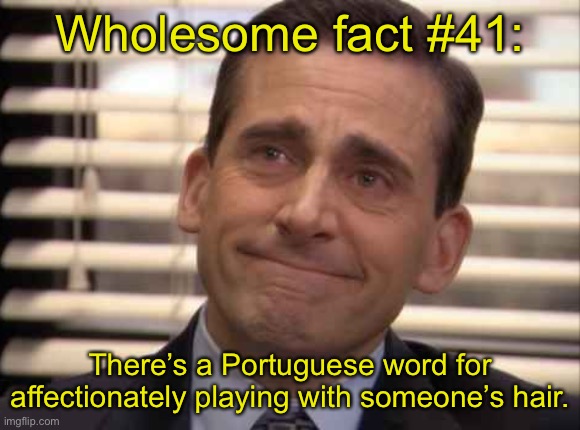 I cafuné my best friend’s hair a lot lol | Wholesome fact #41:; There’s a Portuguese word for affectionately playing with someone’s hair. | image tagged in wholesome | made w/ Imgflip meme maker
