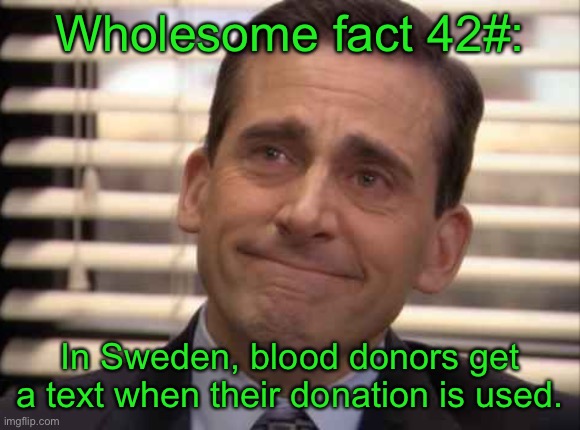 wholesome | Wholesome fact 42#:; In Sweden, blood donors get a text when their donation is used. | image tagged in wholesome | made w/ Imgflip meme maker