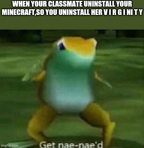 Super naed naed | WHEN YOUR CLASSMATE UNINSTALL YOUR MINECRAFT,SO YOU UNINSTALL HER V I R G I NI T Y | image tagged in get nae-nae'd | made w/ Imgflip meme maker