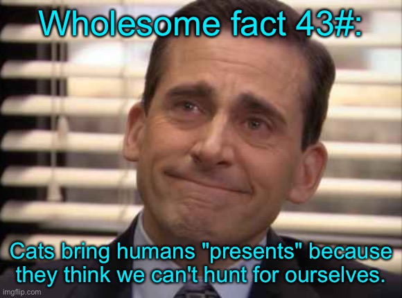 wholesome | Wholesome fact 43#:; Cats bring humans "presents" because they think we can't hunt for ourselves. | image tagged in wholesome | made w/ Imgflip meme maker