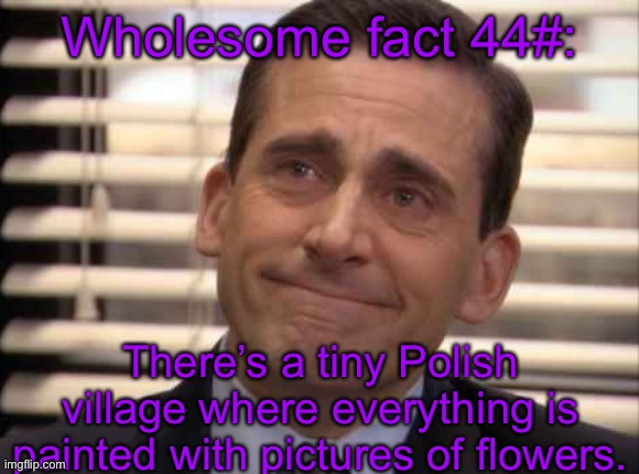 wholesome | Wholesome fact 44#:; There’s a tiny Polish village where everything is painted with pictures of flowers. | image tagged in wholesome | made w/ Imgflip meme maker