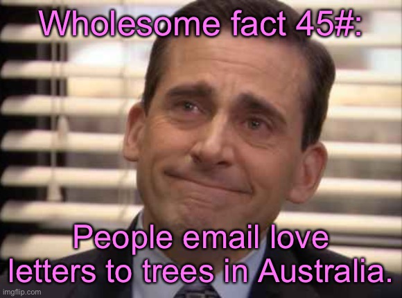 wholesome | Wholesome fact 45#:; People email love letters to trees in Australia. | image tagged in wholesome | made w/ Imgflip meme maker