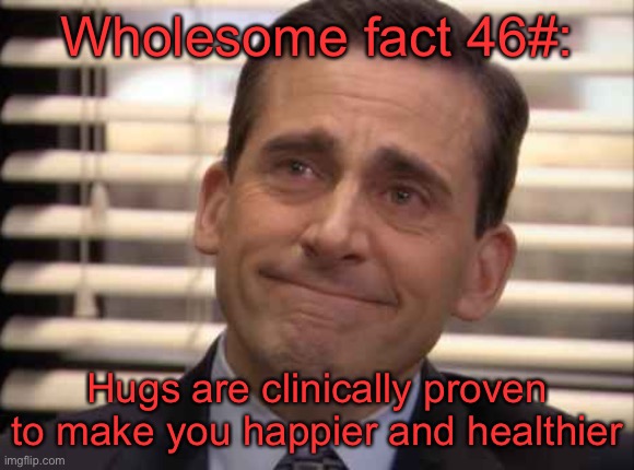 wholesome | Wholesome fact 46#:; Hugs are clinically proven to make you happier and healthier | image tagged in wholesome | made w/ Imgflip meme maker