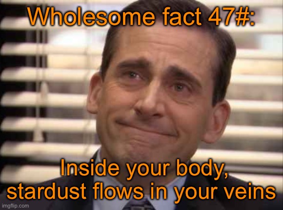 wholesome | Wholesome fact 47#:; Inside your body, stardust flows in your veins | image tagged in wholesome | made w/ Imgflip meme maker