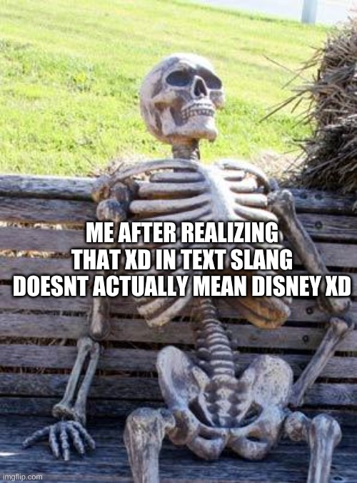 Misread Text | ME AFTER REALIZING THAT XD IN TEXT SLANG DOESNT ACTUALLY MEAN DISNEY XD | image tagged in memes,waiting skeleton,disney,funny | made w/ Imgflip meme maker