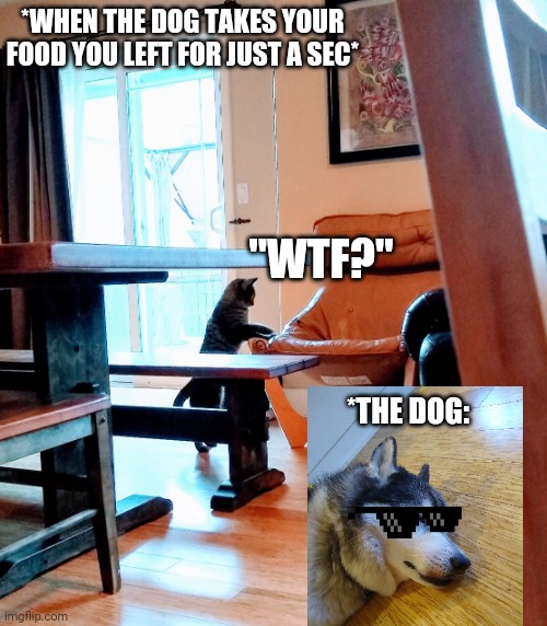 Where did it go? | *WHEN THE DOG TAKES YOUR FOOD YOU LEFT FOR JUST A SEC*; "WTF?"; *THE DOG: | image tagged in where did it go | made w/ Imgflip meme maker