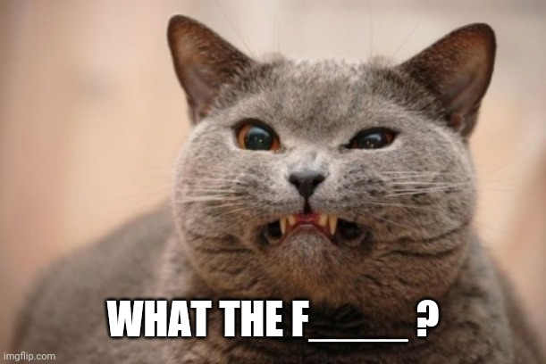 Horrible taste | WHAT THE F____ ? | image tagged in horrible taste | made w/ Imgflip meme maker