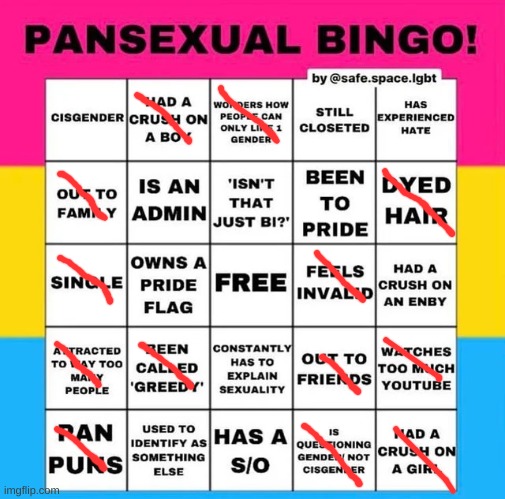 I outed to my family but they didn't accept me.. | image tagged in pansexual bingo | made w/ Imgflip meme maker