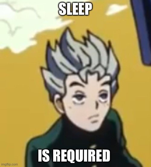 Gn | SLEEP; IS REQUIRED | image tagged in koichi bruh face | made w/ Imgflip meme maker