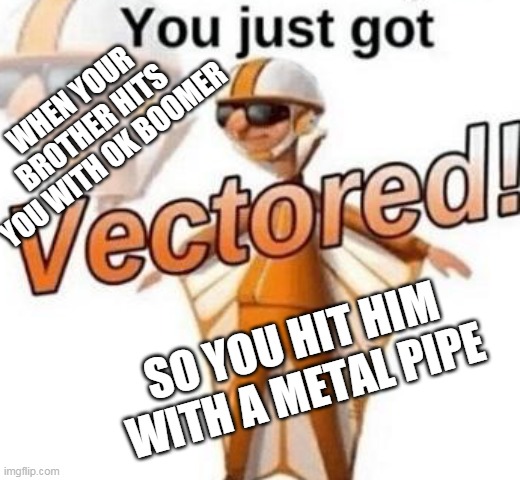 GET WRECKED | WHEN YOUR BROTHER HITS YOU WITH OK BOOMER; SO YOU HIT HIM WITH A METAL PIPE | image tagged in you just got vectored | made w/ Imgflip meme maker