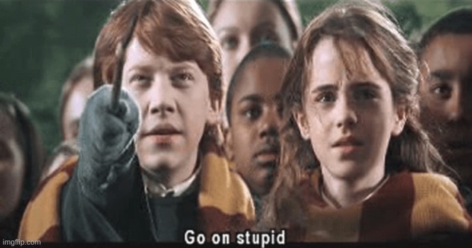 Go on stupid | image tagged in go on stupid | made w/ Imgflip meme maker