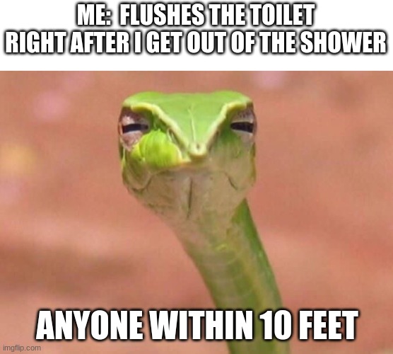 hmmm |  ME:  FLUSHES THE TOILET RIGHT AFTER I GET OUT OF THE SHOWER; ANYONE WITHIN 10 FEET | image tagged in skeptical snake | made w/ Imgflip meme maker