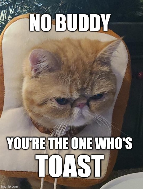 You're toast | NO BUDDY; YOU'RE THE ONE WHO'S; TOAST | image tagged in you're toast | made w/ Imgflip meme maker