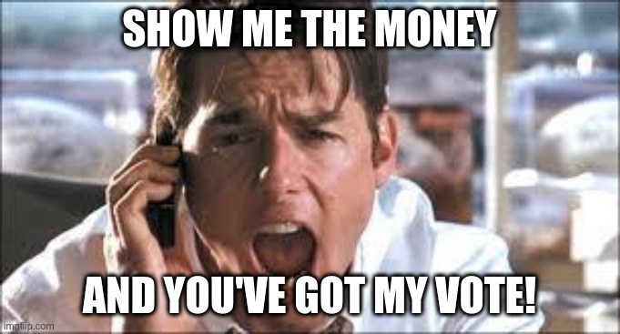Show me the money | SHOW ME THE MONEY AND YOU'VE GOT MY VOTE! | image tagged in show me the money | made w/ Imgflip meme maker
