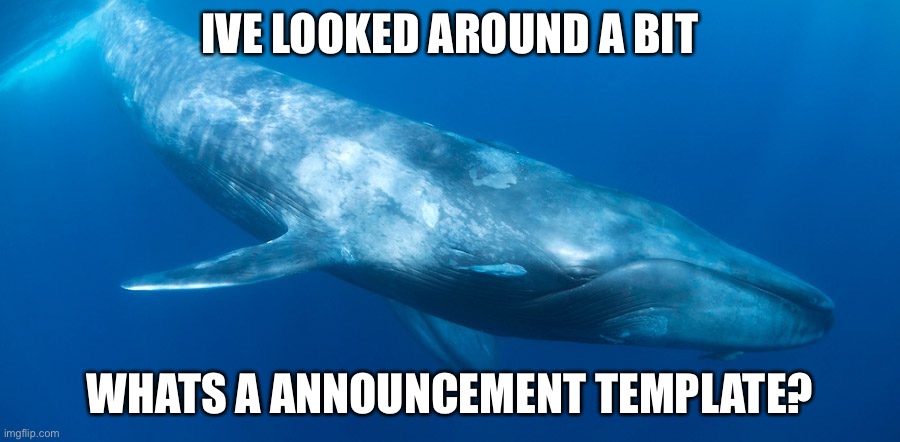 Blue Whale | IVE LOOKED AROUND A BIT; WHATS A ANNOUNCEMENT TEMPLATE? | image tagged in blue whale | made w/ Imgflip meme maker