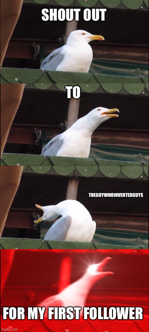 Inhaling Seagull | SHOUT OUT; TO; THEGUYWHOINVENTEDGUYS; FOR MY FIRST FOLLOWER | image tagged in memes,inhaling seagull | made w/ Imgflip meme maker