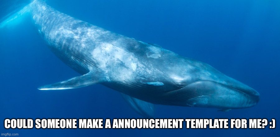 Blue Whale | COULD SOMEONE MAKE A ANNOUNCEMENT TEMPLATE FOR ME? :) | image tagged in blue whale | made w/ Imgflip meme maker