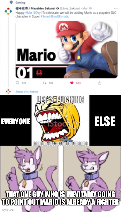 That’s hype as f**k | ELSE; EVERYONE; THAT ONE GUY WHO IS INEVITABLY GOING TO POINT OUT MARIO IS ALREADY A FIGHTER | image tagged in furry hold on | made w/ Imgflip meme maker
