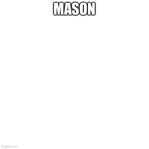 Blank Transparent Square | MASON | image tagged in memes,blank transparent square | made w/ Imgflip meme maker