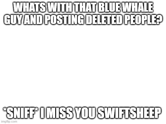 Blank White Template | WHATS WITH THAT BLUE WHALE GUY AND POSTING DELETED PEOPLE? *SNIFF* I MISS YOU SWIFTSHEEP | image tagged in blank white template | made w/ Imgflip meme maker