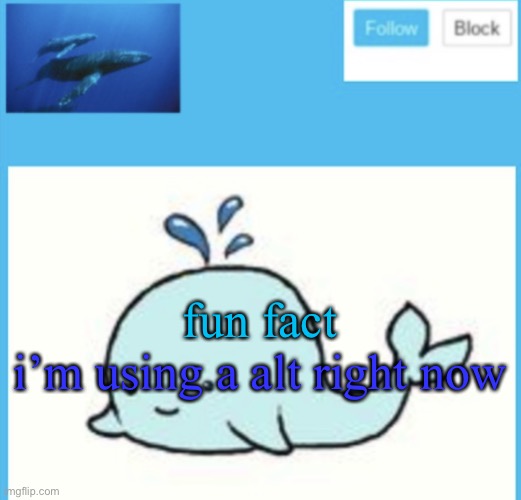 Blue-whale announcement template | fun fact; i’m using a alt right now | image tagged in blue-whale announcement template | made w/ Imgflip meme maker