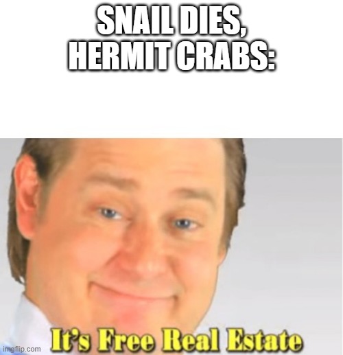 bruh | SNAIL DIES, HERMIT CRABS: | image tagged in it's free real estate | made w/ Imgflip meme maker