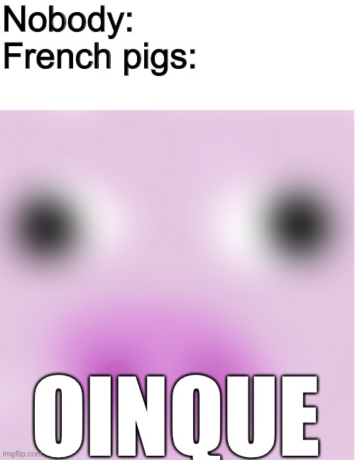 blurry pig | Nobody:
French pigs:; OINQUE | image tagged in blank white template,funny,memes,funny memes,pig,france | made w/ Imgflip meme maker