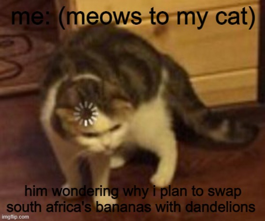 my pet human is crazy | me: (meows to my cat); him wondering why i plan to swap south africa's bananas with dandelions | image tagged in loading cat,memes,funny memes,beans | made w/ Imgflip meme maker