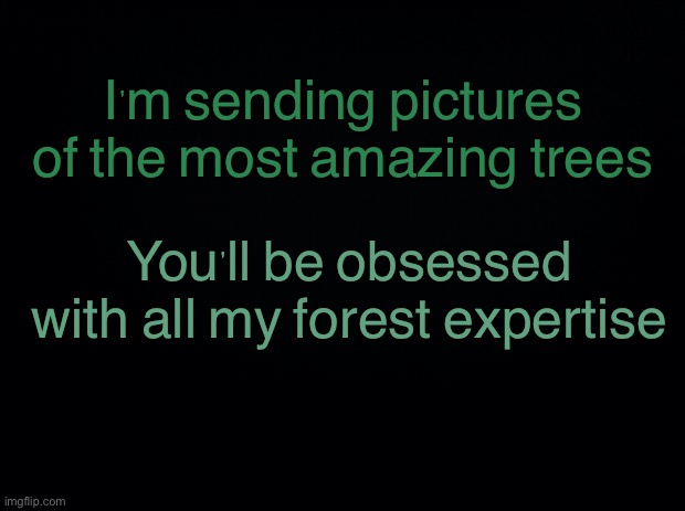Black background | I'm sending pictures of the most amazing trees; You'll be obsessed with all my forest expertise | image tagged in black background | made w/ Imgflip meme maker