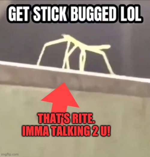 Stick Bugged | THAT'S RITE. IMMA TALKING 2 U! | image tagged in stick bugged | made w/ Imgflip meme maker