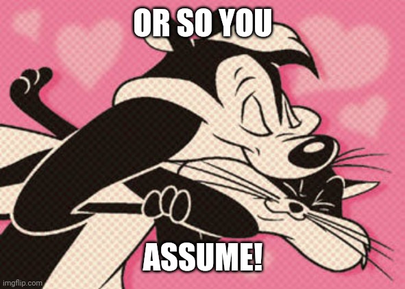 Pepe Le Pew | OR SO YOU ASSUME! | image tagged in pepe le pew | made w/ Imgflip meme maker