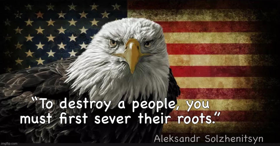 America at Risk  ~  (neverwoke) | “To destroy a people, you must first sever their roots.”; Aleksandr Solzhenitsyn | image tagged in american flag,patriotism,bald eagle,progressives threaten freedom and liberty | made w/ Imgflip meme maker