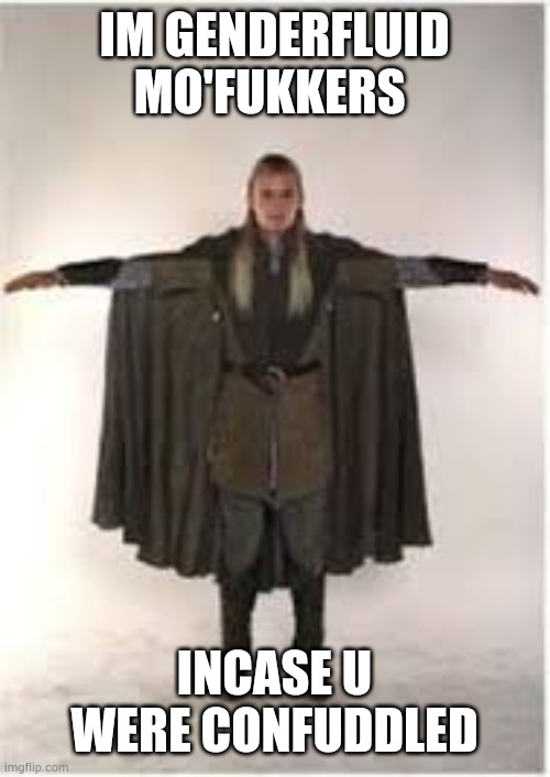 Terry loves yogurt | IM GENDERFLUID MO'FUKKERS; INCASE U WERE CONFUDDLED | image tagged in t-posing legolas,the more you know | made w/ Imgflip meme maker