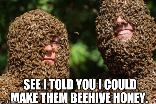 That really stings | SEE I TOLD YOU I COULD MAKE THEM BEEHIVE HONEY. | image tagged in funny memes | made w/ Imgflip meme maker