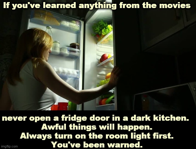 Movie wisdom | If you've learned anything from the movies; never open a fridge door in a dark kitchen. 
Awful things will happen.
Always turn on the room light first.
You've been warned. | image tagged in movie,wisdom,refrigerator,dark,kitchen,awful | made w/ Imgflip meme maker